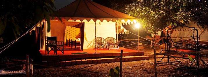 1432/Camp Leo & Gir Pride Resort - Gir National Park 05.jpg